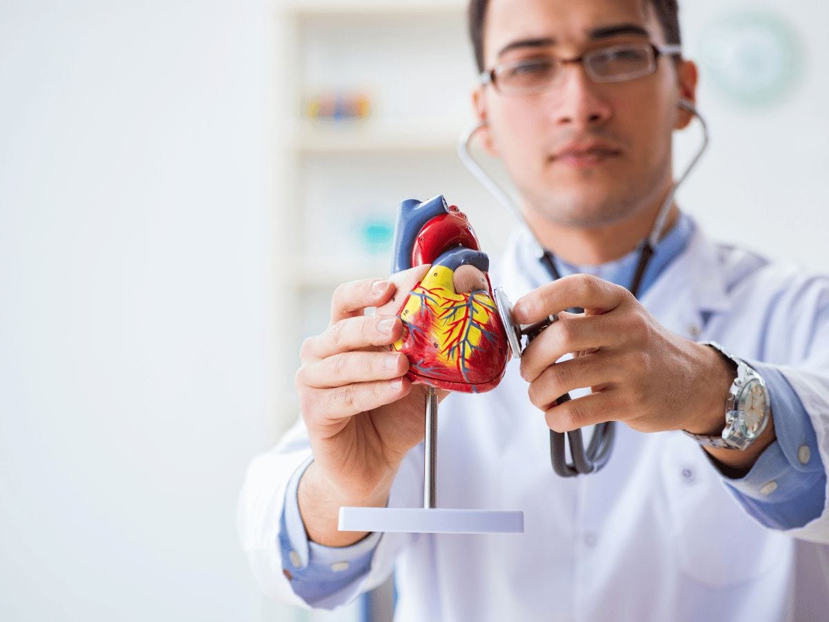 A doctor showing the effect of Aortic Aneurysms with a medical prop