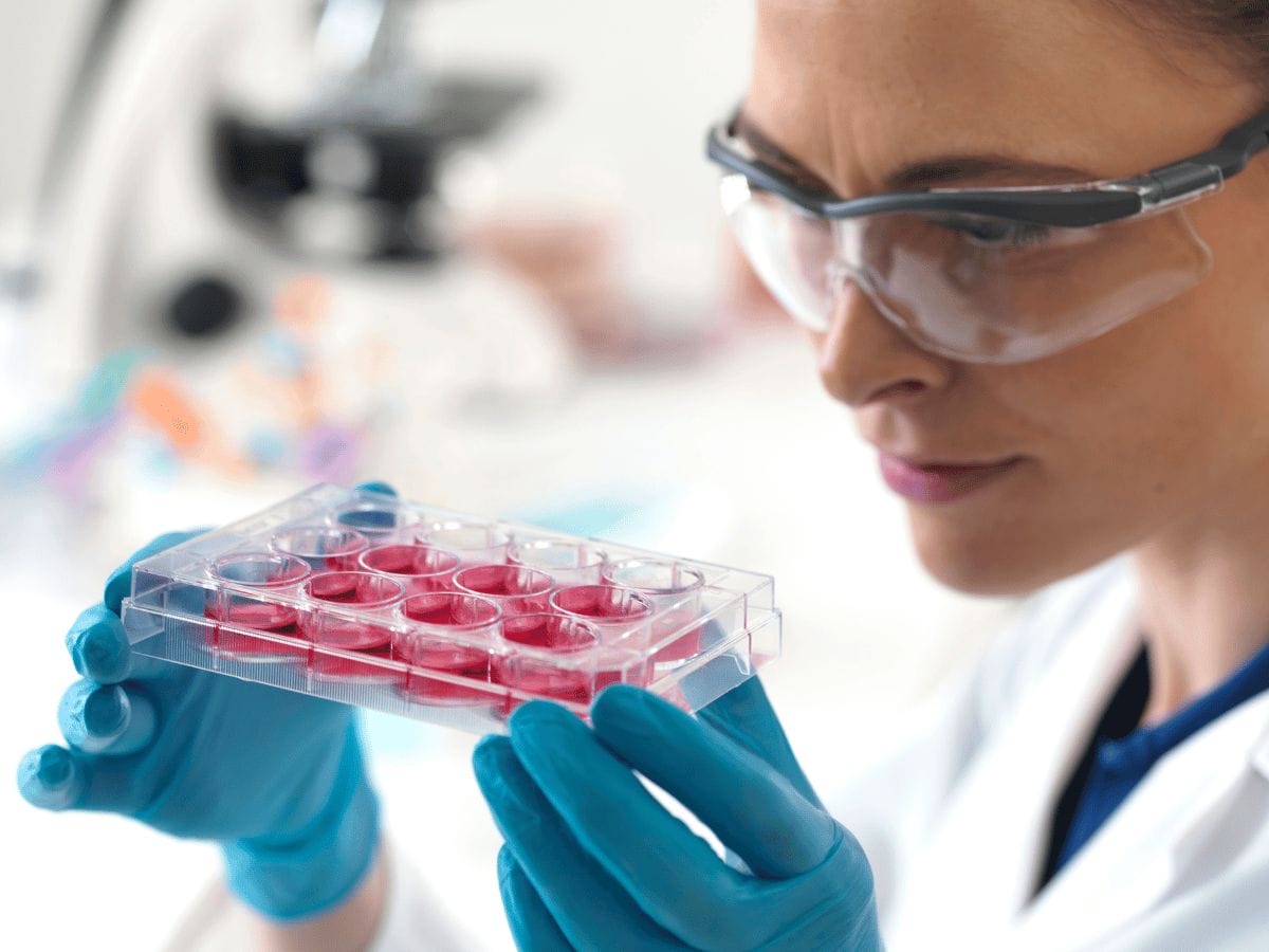 a doctor checking stem cells of a patient
